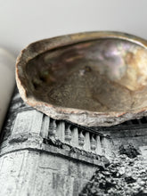 Load image into Gallery viewer, large abalone shell bowl
