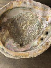 Load image into Gallery viewer, large abalone shell bowl
